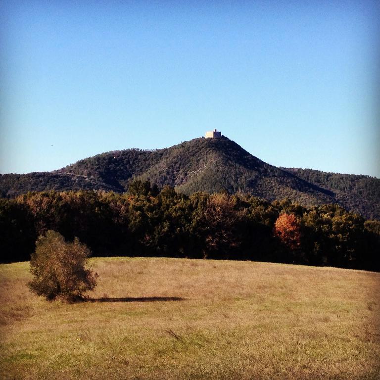 Montecastelli Pisano Agriturismo San Nicolo מראה חיצוני תמונה